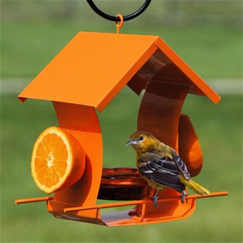 woodlink 35319 metal house oriole feeder|Woodlink 35319 Metal House Oriole Feeder .